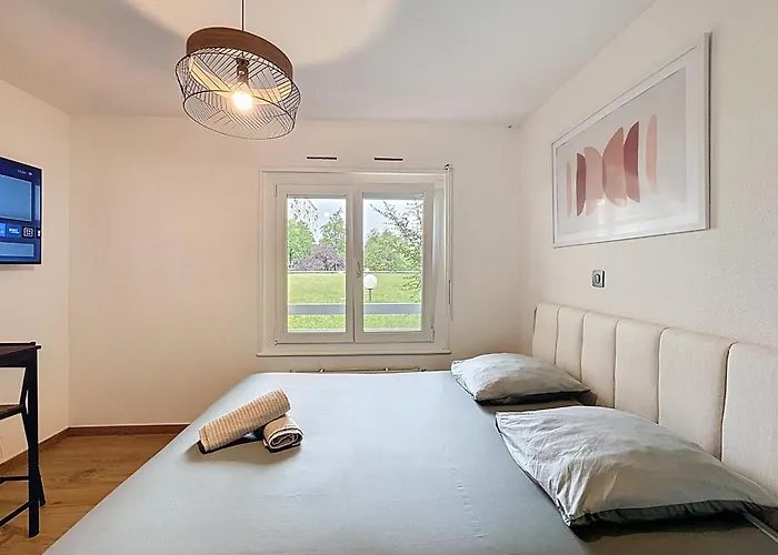 Modernite Strasbourgeoise Apartment